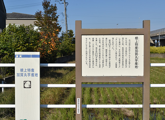 五間堂が「加賀丸いも」が最初に栽培された場所であることを伝える看板